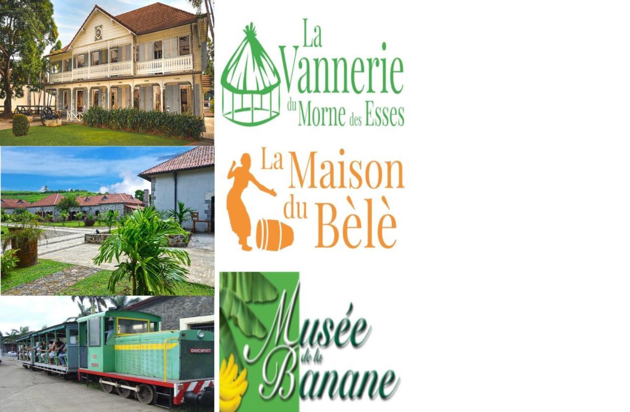 Hostel Des 3 Sources Sainte-Marie Eksteriør billede